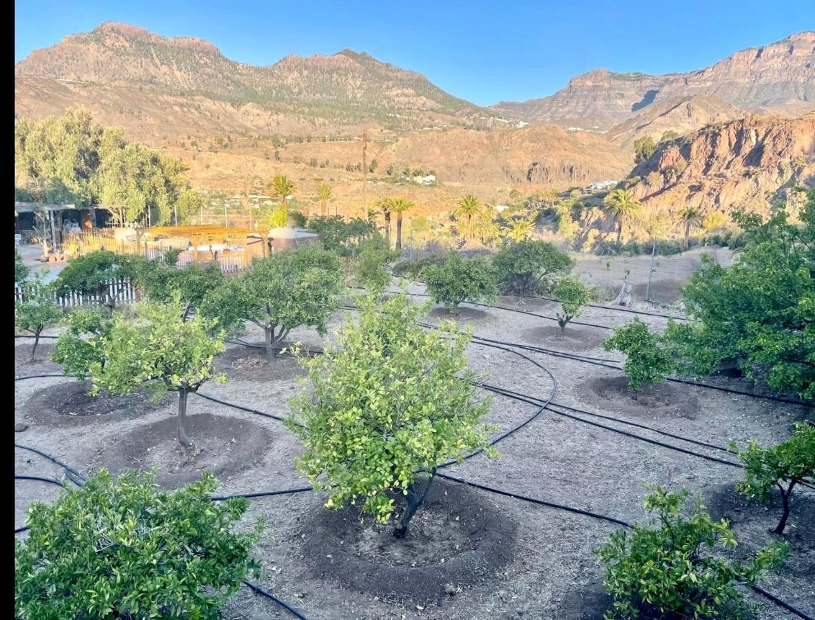 Casa Rural La Limera Con Piscina Privada Santa Lucia المظهر الخارجي الصورة