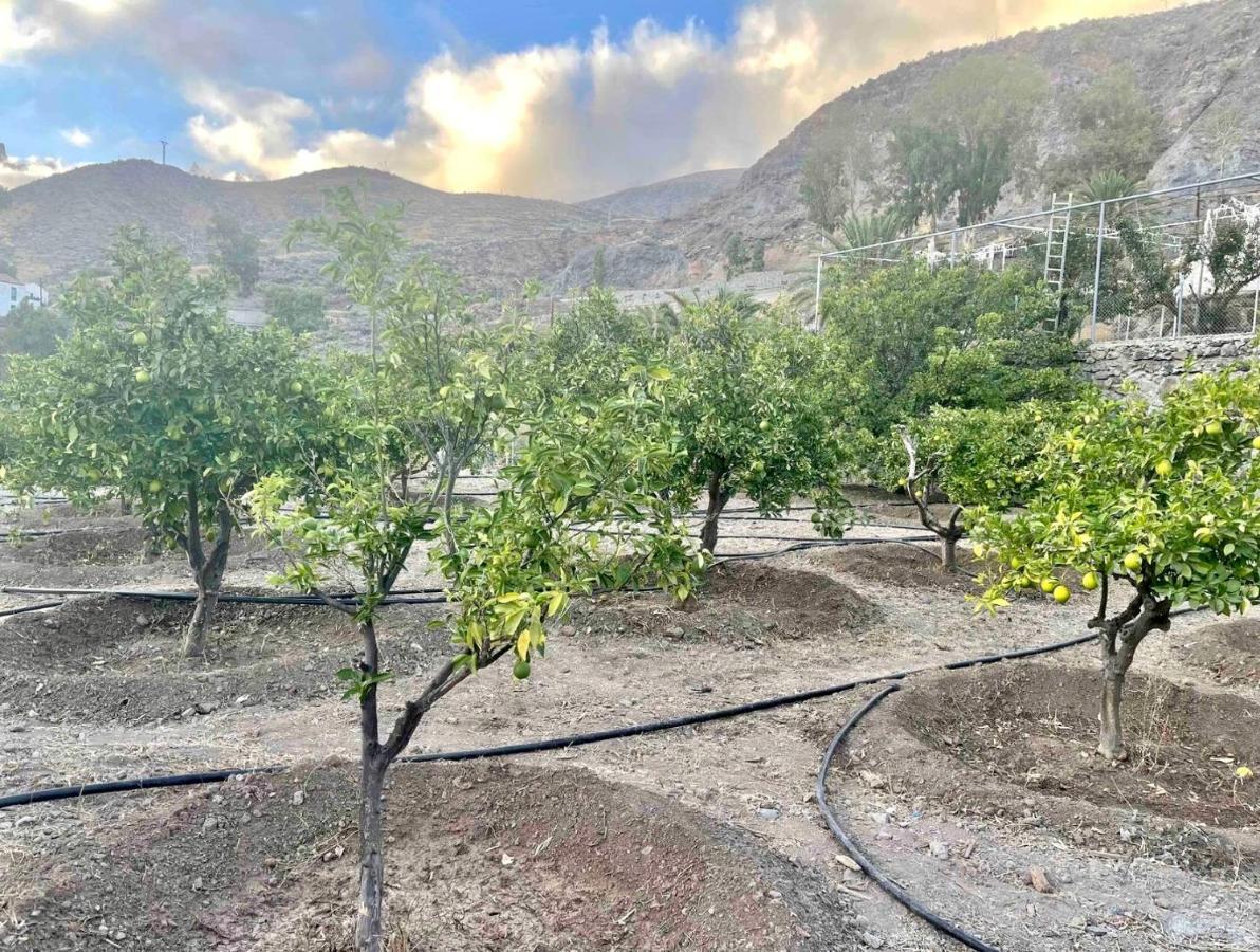 Casa Rural La Limera Con Piscina Privada Santa Lucia المظهر الخارجي الصورة