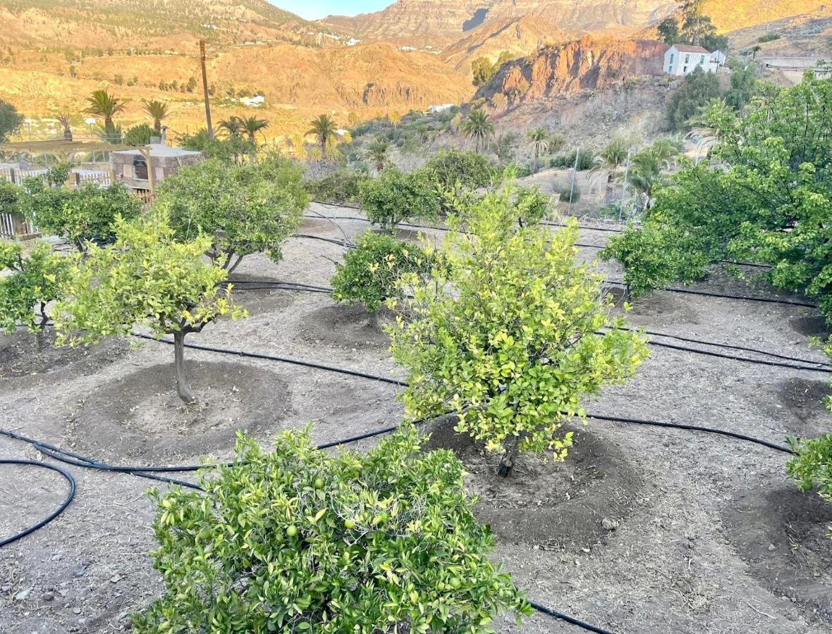 Casa Rural La Limera Con Piscina Privada Santa Lucia المظهر الخارجي الصورة